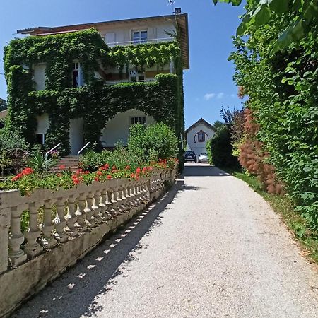 Une Tiny House A Decouvrir Au Coeur De La Cite ! Contrexéville Εξωτερικό φωτογραφία